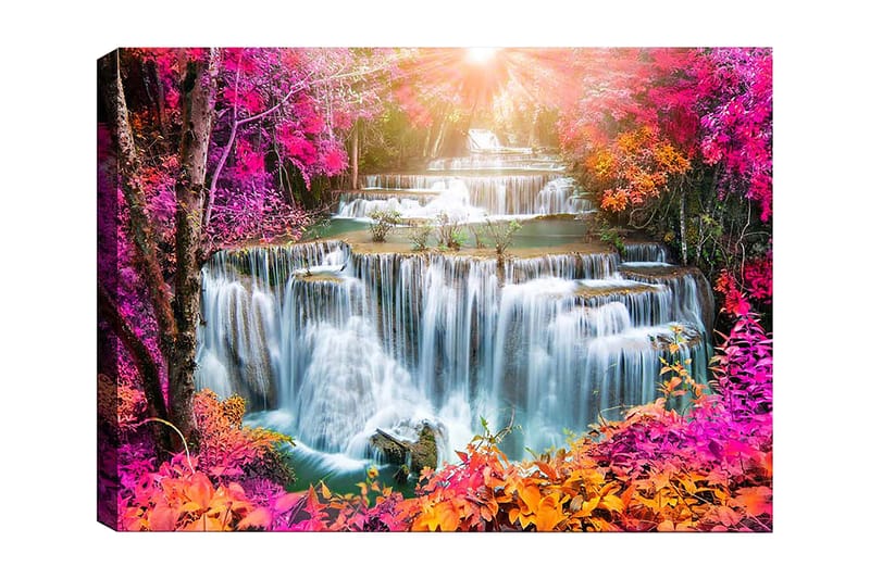 Koristeellinen Canvastaulu 50x70 cm, Monivärinen