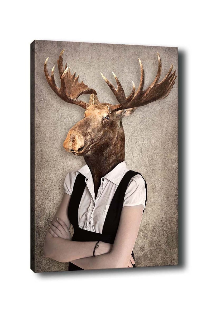 Koristeellinen Canvastaulu 50x70 cm, Monivärinen