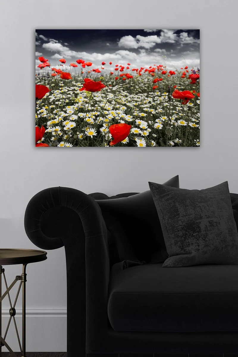 Koristeellinen Canvastaulu 50x70 cm, Monivärinen