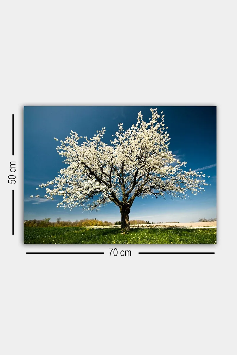 Koristeellinen Canvastaulu 50x70 cm - Monivärinen - Sisustustuotteet - Taulu & taide - Canvas-taulu