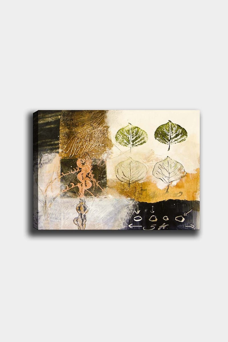 Koristeellinen Canvastaulu 50x70 cm, Monivärinen