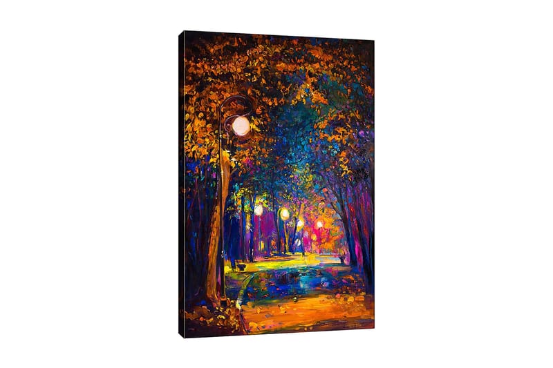 Koristeellinen Canvastaulu 50x70 cm, Monivärinen