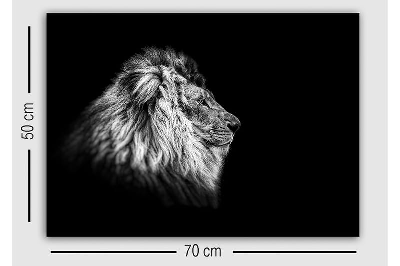 Koristeellinen Canvastaulu 50x70 cm - Monivärinen - Sisustustuotteet - Taulu & taide - Canvas-taulu