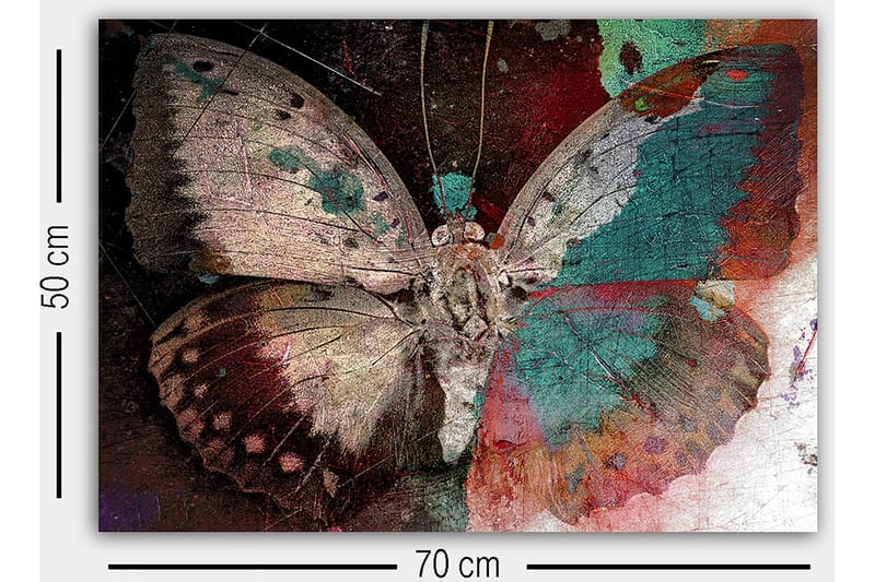 Koristeellinen Canvastaulu 50x70 cm - Monivärinen - Sisustustuotteet - Taulu & taide - Canvas-taulu