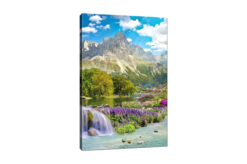 Koristeellinen Canvastaulu 50x70 cm, Monivärinen