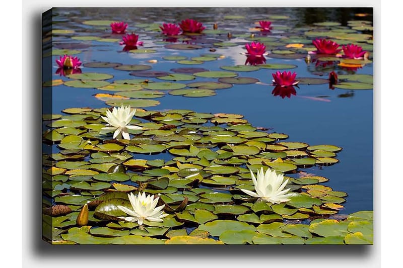 Koristeellinen Canvastaulu 50x70 cm - Monivärinen - Sisustustuotteet - Taulu & taide - Canvas-taulu