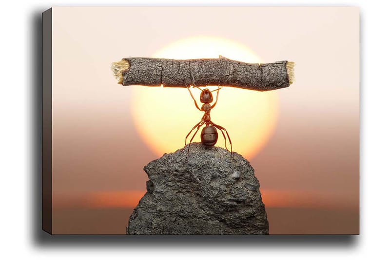 Koristeellinen Canvastaulu 50x70 cm, Monivärinen