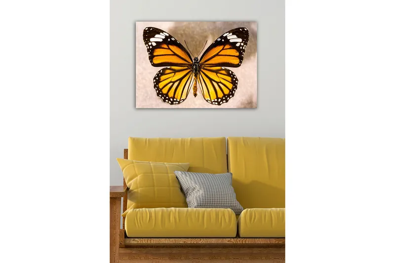 Koristeellinen Canvastaulu 50x70 cm, Monivärinen