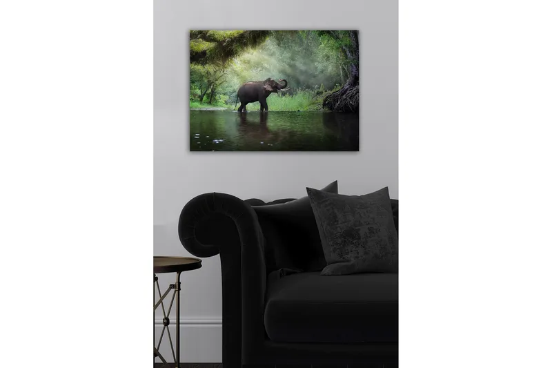 Koristeellinen Canvastaulu 50x70 cm, Monivärinen