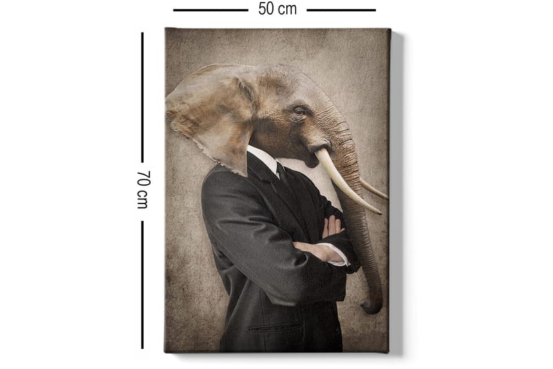 Koristeellinen Canvastaulu 50x70 cm - Monivärinen - Sisustustuotteet - Taulu & taide - Canvas-taulu