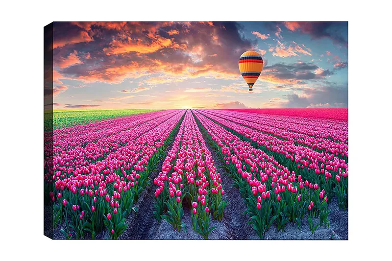 Koristeellinen Canvastaulu 50x70 cm, Monivärinen