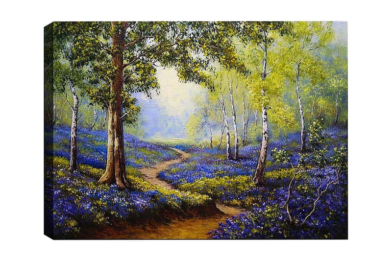 Koristeellinen Canvastaulu 50x70 cm, Monivärinen