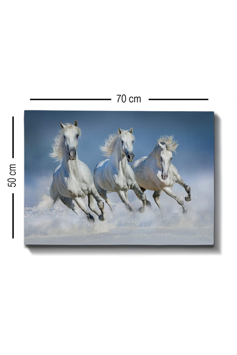 Koristeellinen Canvastaulu 50x70 cm - Monivärinen - Sisustustuotteet - Taulu & taide - Canvas-taulu