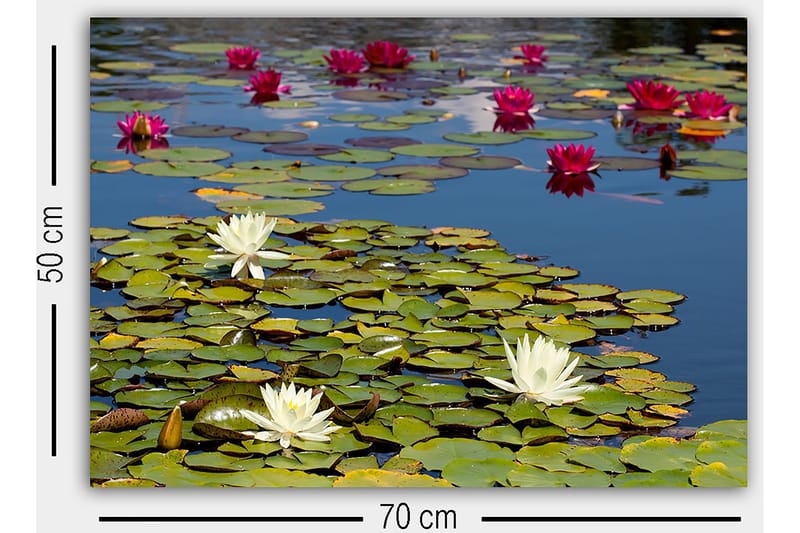 Koristeellinen Canvastaulu 50x70 cm - Monivärinen - Sisustustuotteet - Taulu & taide - Canvas-taulu