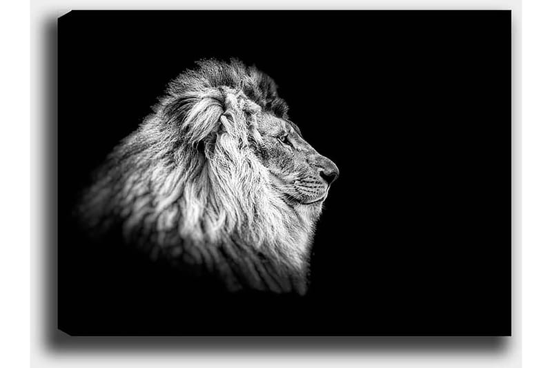 Koristeellinen Canvastaulu 50x70 cm - Monivärinen - Sisustustuotteet - Taulu & taide - Canvas-taulu