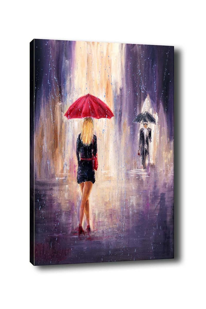 Koristeellinen Canvastaulu 50x70 cm, Monivärinen