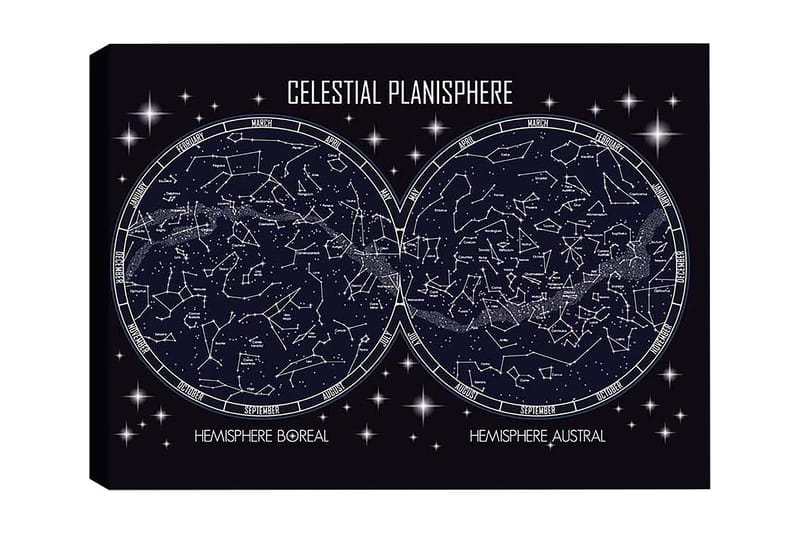 Koristeellinen Canvastaulu 50x70 cm, Monivärinen