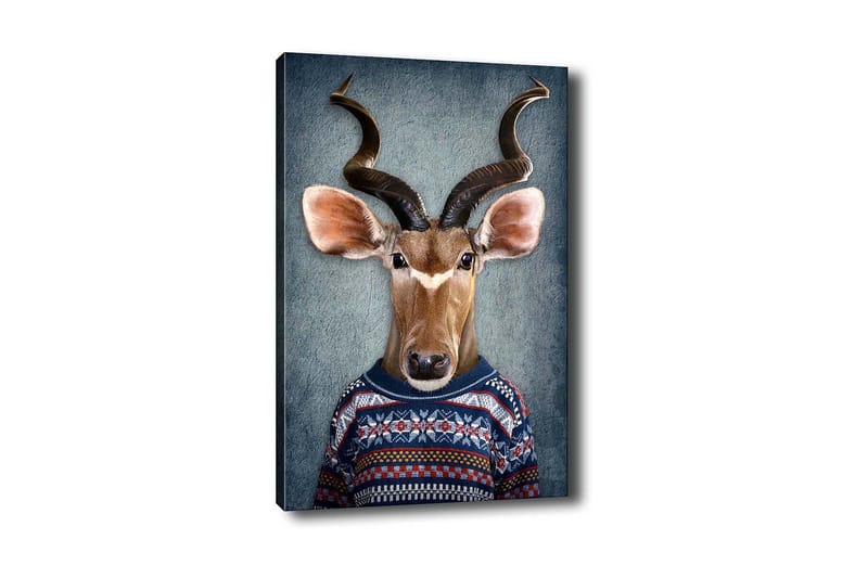 Koristeellinen Canvastaulu 50x70 cm, Monivärinen