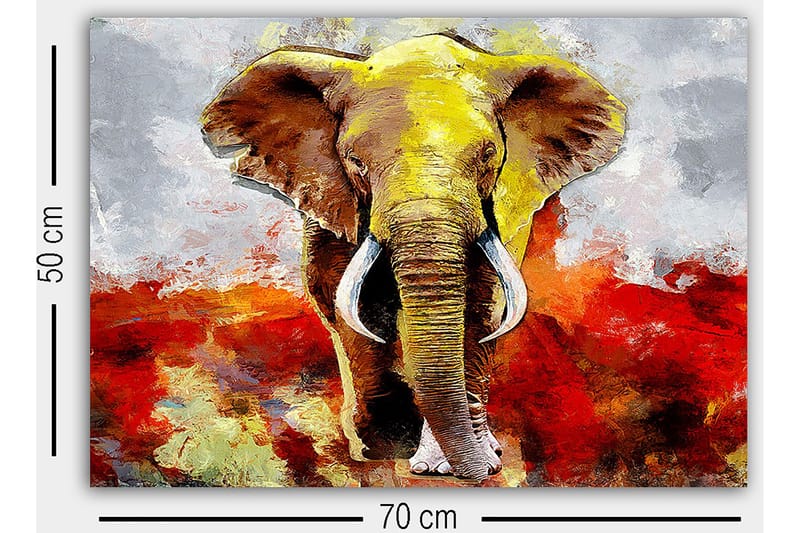 Koristeellinen Canvastaulu 50x70 cm - Monivärinen - Sisustustuotteet - Taulu & taide - Canvas-taulu