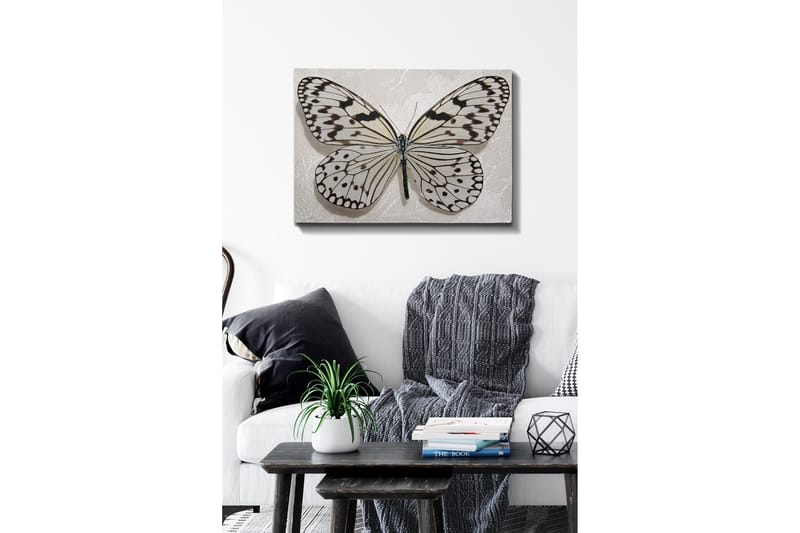 Koristeellinen Canvastaulu 50x70 cm, Monivärinen