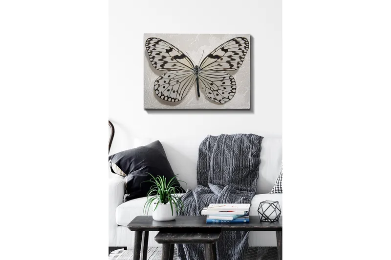 Koristeellinen Canvastaulu 50x70 cm, Monivärinen