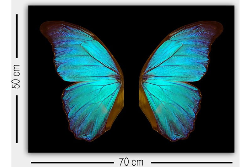 Koristeellinen Canvastaulu 50x70 cm - Monivärinen - Sisustustuotteet - Taulu & taide - Canvas-taulu