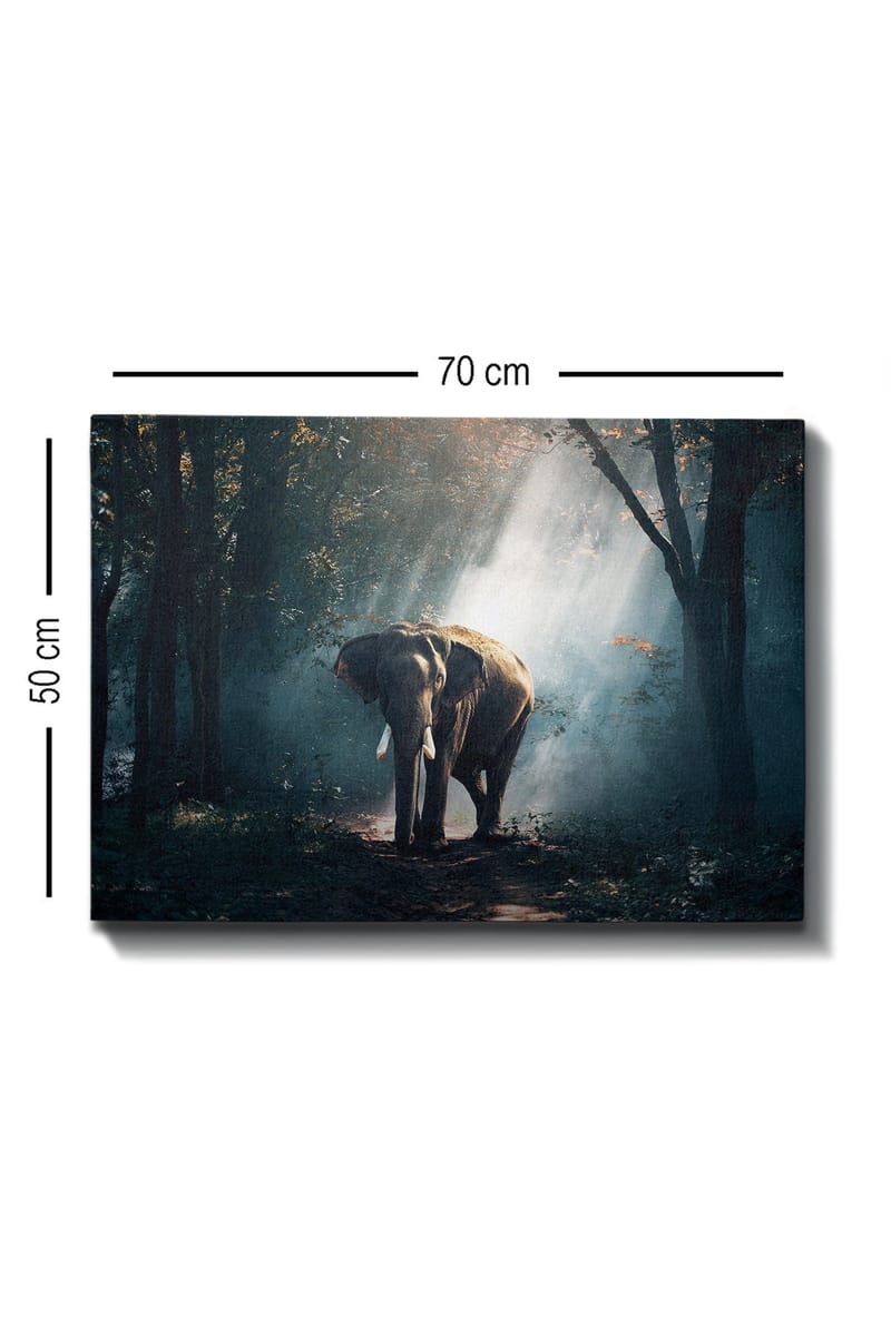 Koristeellinen Canvastaulu 50x70 cm - Monivärinen - Sisustustuotteet - Taulu & taide - Canvas-taulu