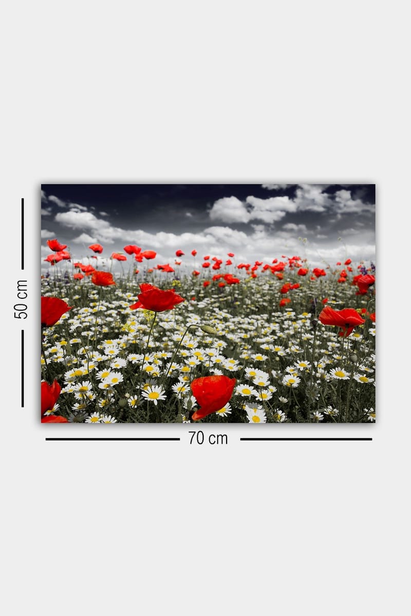 Koristeellinen Canvastaulu 50x70 cm - Monivärinen - Sisustustuotteet - Taulu & taide - Canvas-taulu