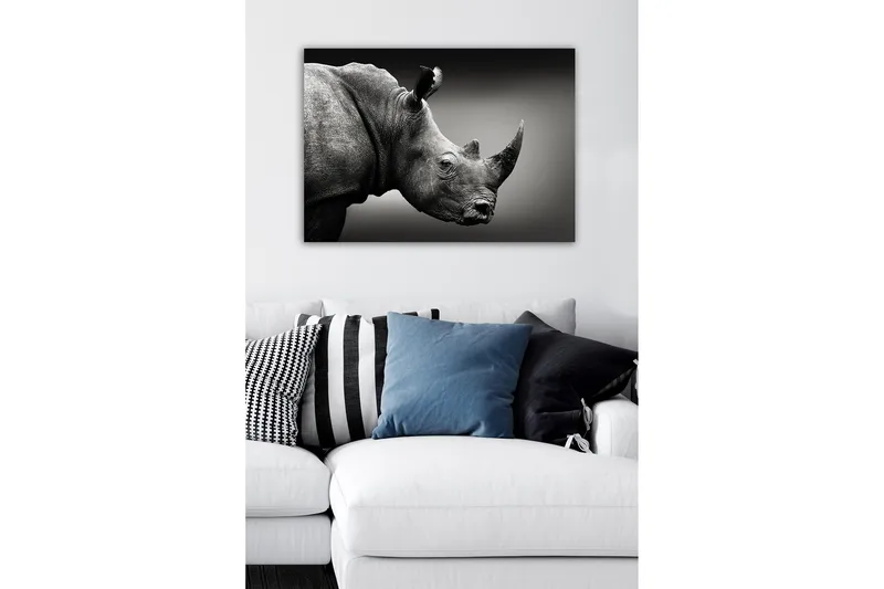 Koristeellinen Canvastaulu 50x70 cm, Monivärinen