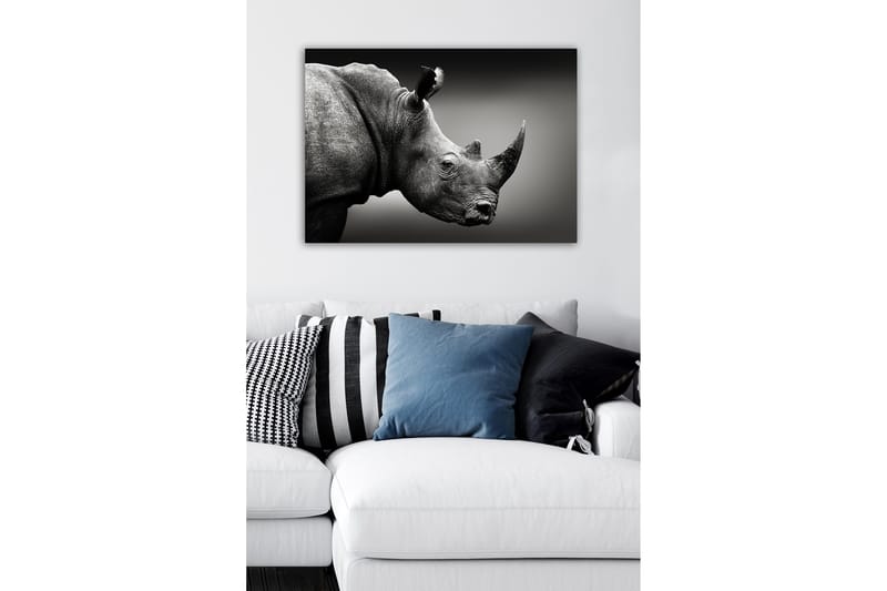 Koristeellinen Canvastaulu 50x70 cm, Monivärinen