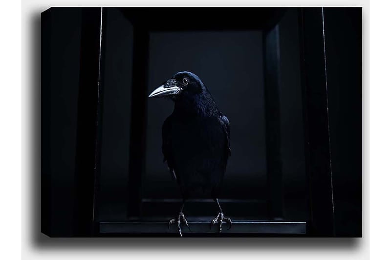 Koristeellinen Canvastaulu 50x70 cm - Monivärinen - Sisustustuotteet - Taulu & taide - Canvas-taulu