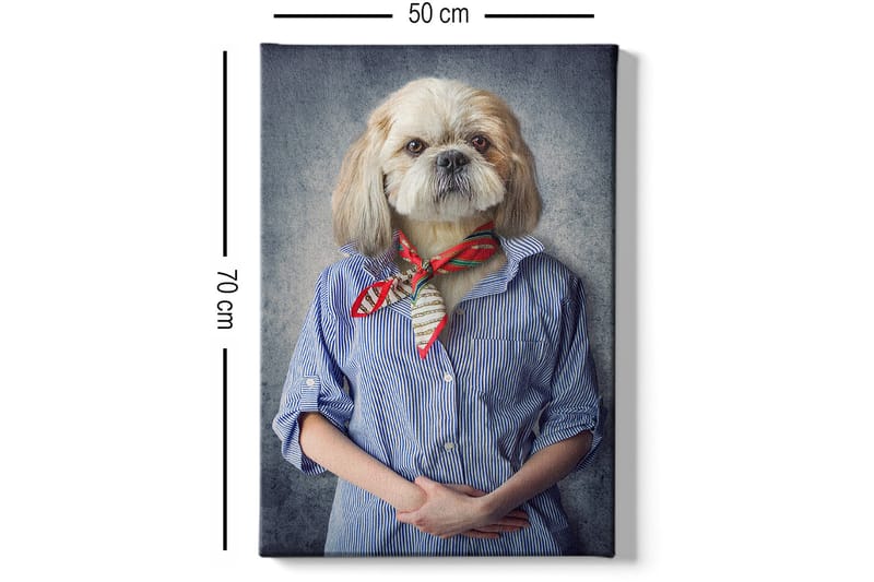 Koristeellinen Canvastaulu 50x70 cm - Monivärinen - Sisustustuotteet - Taulu & taide - Canvas-taulu