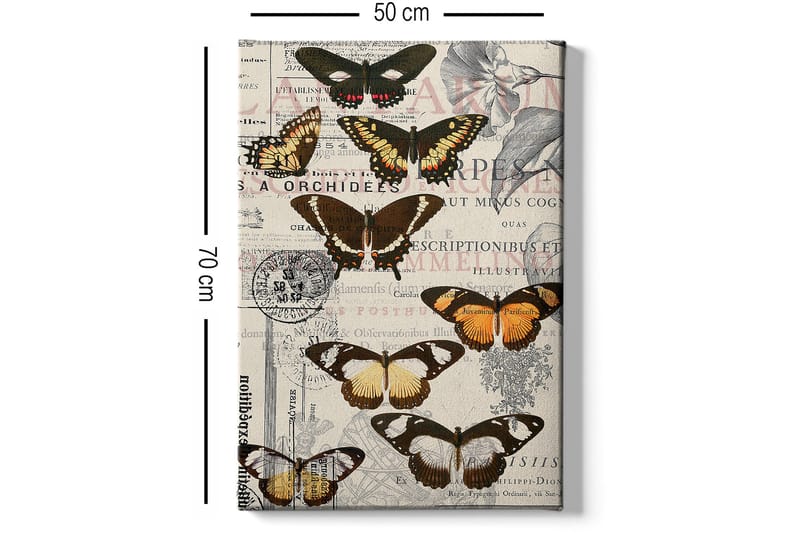 Koristeellinen Canvastaulu 50x70 cm - Monivärinen - Sisustustuotteet - Taulu & taide - Canvas-taulu