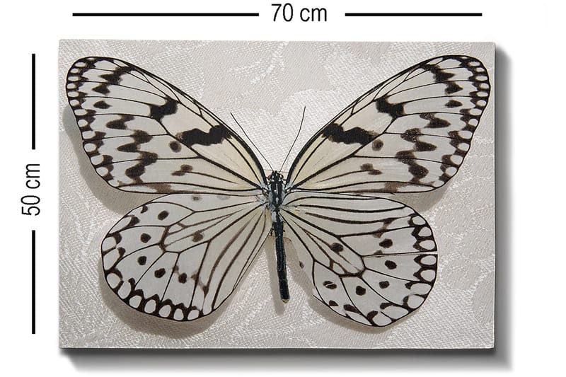 Koristeellinen Canvastaulu 50x70 cm - Monivärinen - Sisustustuotteet - Taulu & taide - Canvas-taulu