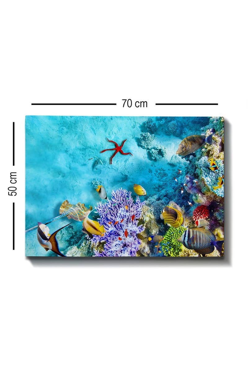 Koristeellinen Canvastaulu 50x70 cm - Monivärinen - Sisustustuotteet - Taulu & taide - Canvas-taulu