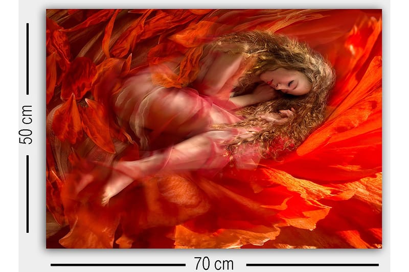 Koristeellinen Canvastaulu 50x70 cm - Monivärinen - Sisustustuotteet - Taulu & taide - Canvas-taulu