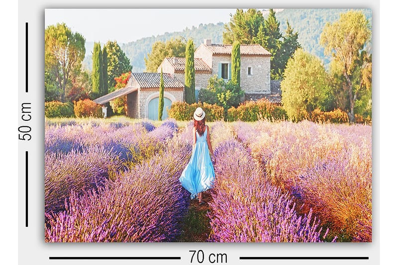 Koristeellinen Canvastaulu 50x70 cm - Monivärinen - Sisustustuotteet - Taulu & taide - Canvas-taulu