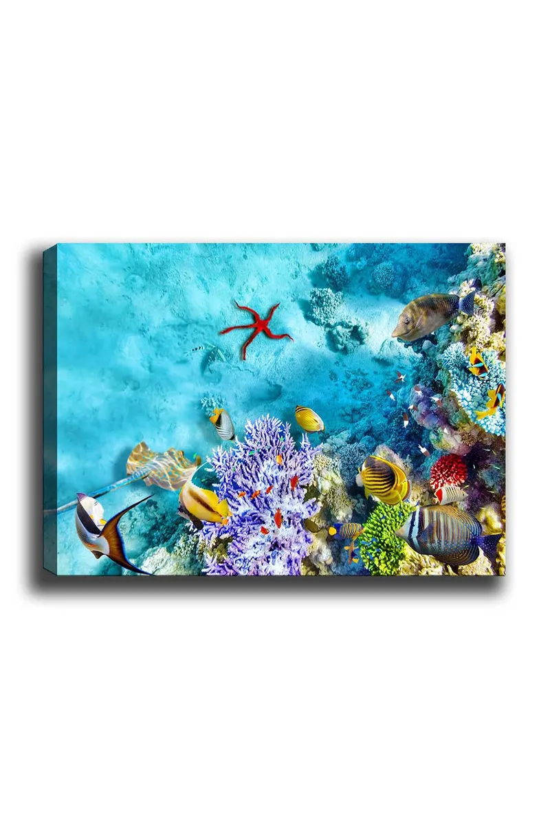 Koristeellinen Canvastaulu 50x70 cm, Monivärinen