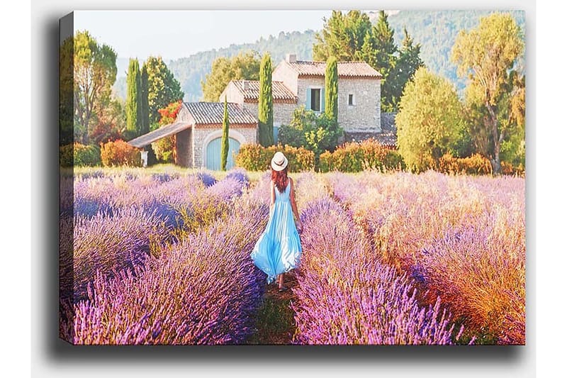 Koristeellinen Canvastaulu 50x70 cm, Monivärinen