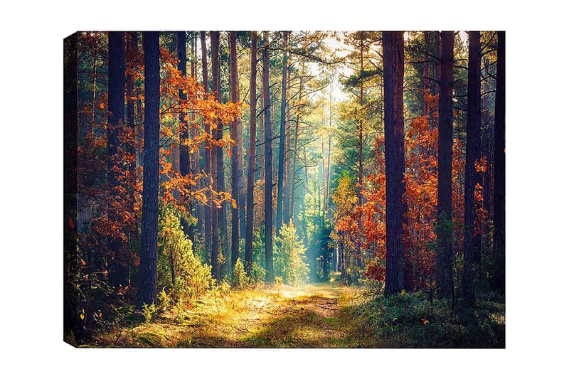 Koristeellinen Canvastaulu 50x70 cm, Monivärinen