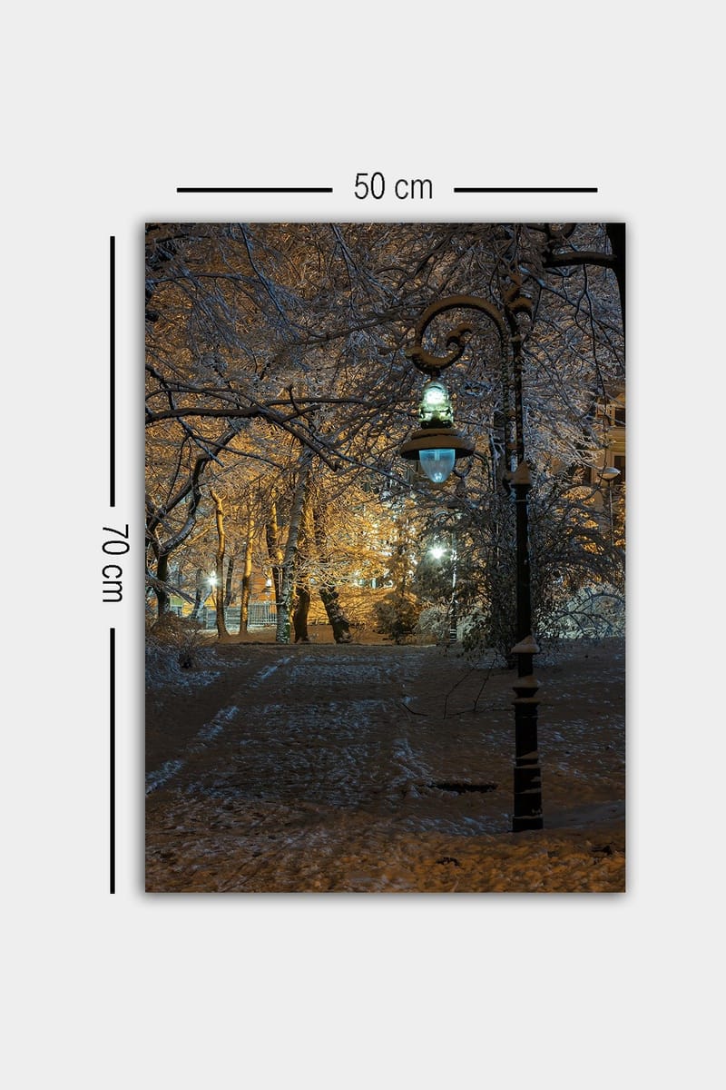 Koristeellinen Canvastaulu 50x70 cm - Monivärinen - Sisustustuotteet - Taulu & taide - Canvas-taulu