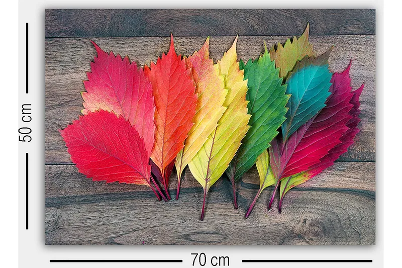 Koristeellinen Canvastaulu 50x70 cm - Monivärinen - Sisustustuotteet - Taulu & taide - Canvas-taulu