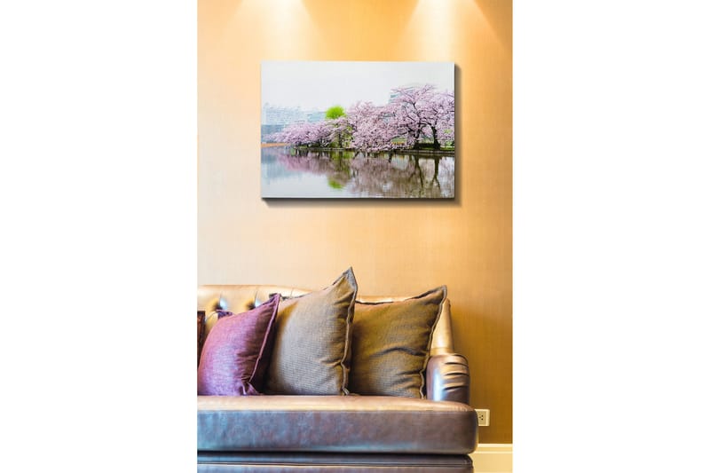 Koristeellinen Canvastaulu 50x70 cm, Monivärinen