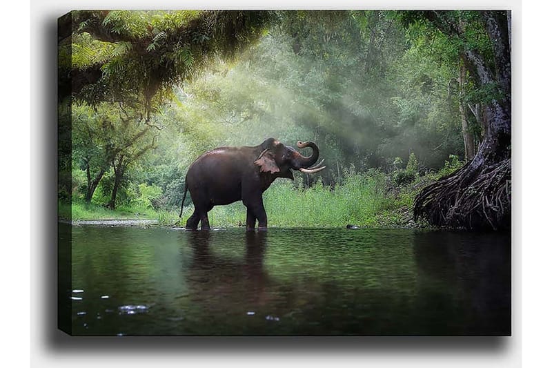 Koristeellinen Canvastaulu 50x70 cm - Monivärinen - Sisustustuotteet - Taulu & taide - Canvas-taulu