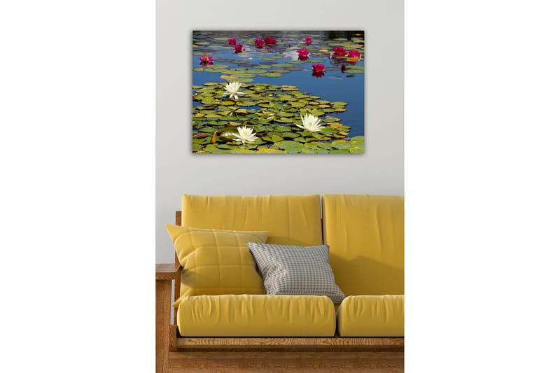 Koristeellinen Canvastaulu 50x70 cm, Monivärinen