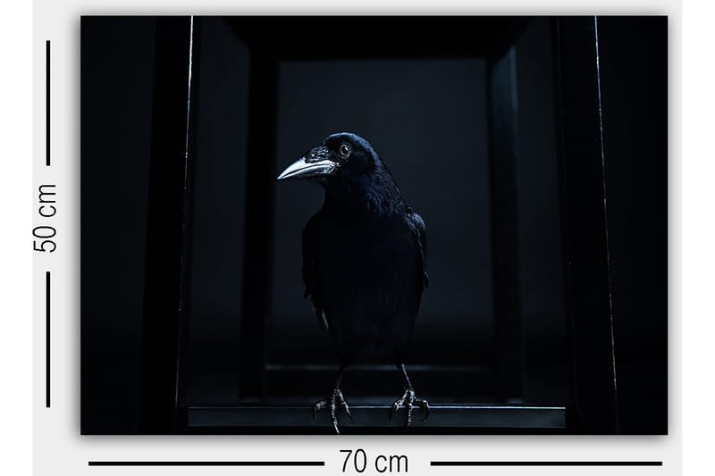 Koristeellinen Canvastaulu 50x70 cm - Monivärinen - Sisustustuotteet - Taulu & taide - Canvas-taulu