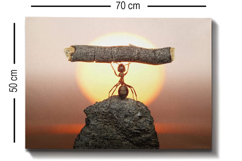 Koristeellinen Canvastaulu 50x70 cm - Monivärinen - Sisustustuotteet - Taulu & taide - Canvas-taulu