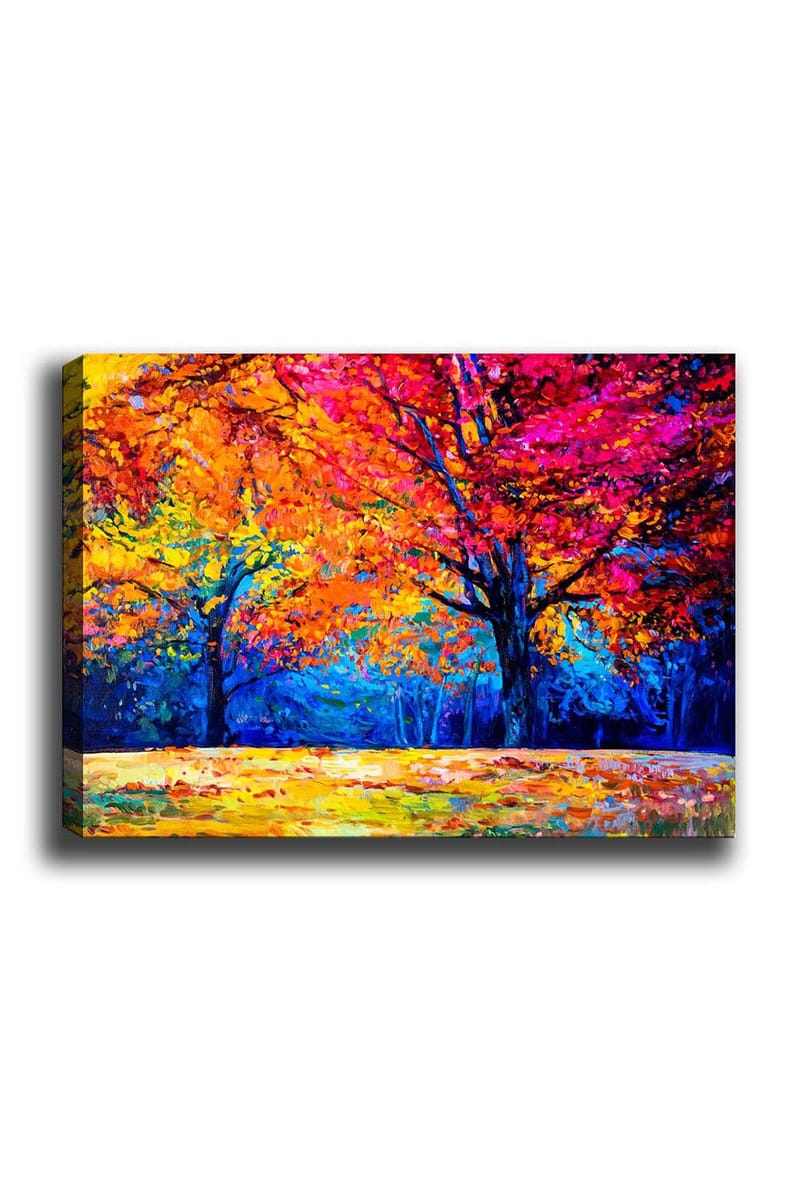 Koristeellinen Canvastaulu 50x70 cm, Monivärinen