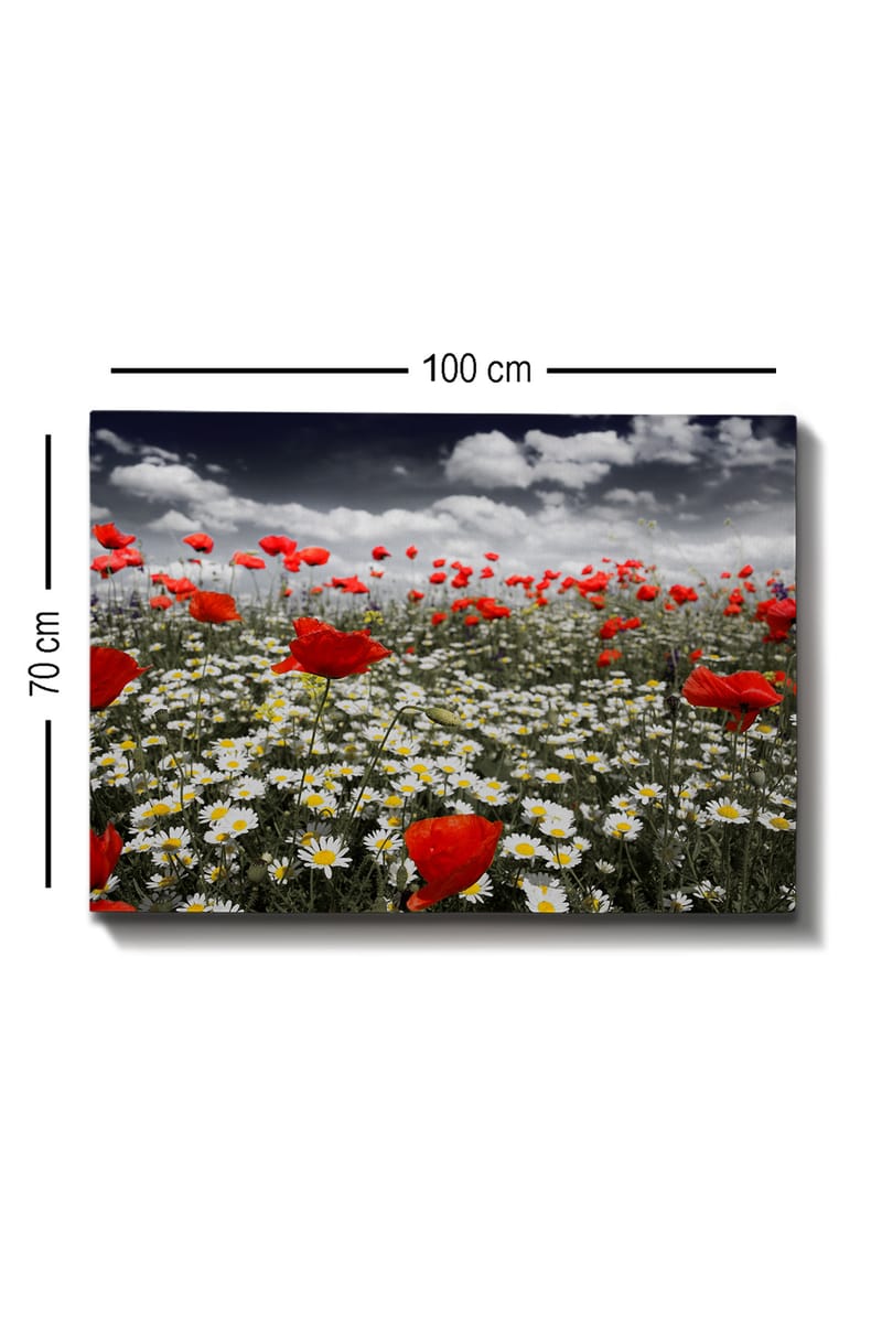 Koristeellinen Canvastaulu 70x100 cm - Monivärinen - Sisustustuotteet - Taulu & taide - Canvas-taulu