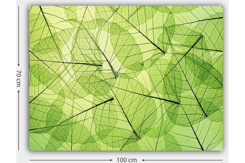 Koristeellinen Canvastaulu 70x100 cm - Monivärinen - Sisustustuotteet - Taulu & taide - Canvas-taulu